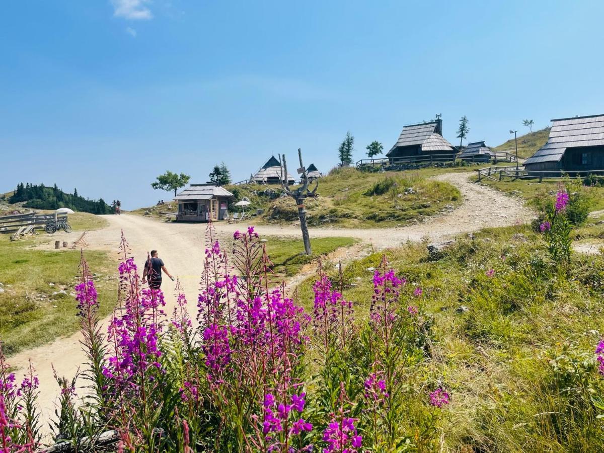 Vila Velika Planina Koca Kekec Stahovica Exteriér fotografie